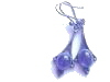 earings