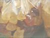 gumdrops