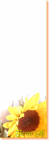 title1